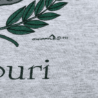 Vintage 90s Lebanon Missouri Double Collar T-Shirt LARGE