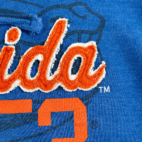 Florida Gators Hoodie Sweatshirt LARGE