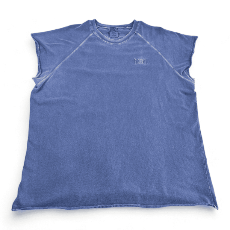 Vintage Everlast Shirt 90s Blue Sleeveless Adult EXTRA LARGE