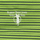 Nike Golf Polo Shirt Green Striped Dri Fit UV Robert Trent Jones Adult EXTRA LARGE