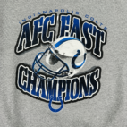 Vintage Indianapolis Colts Sweater Gray AFC East Champions NFL 90s Adult MEDIUM