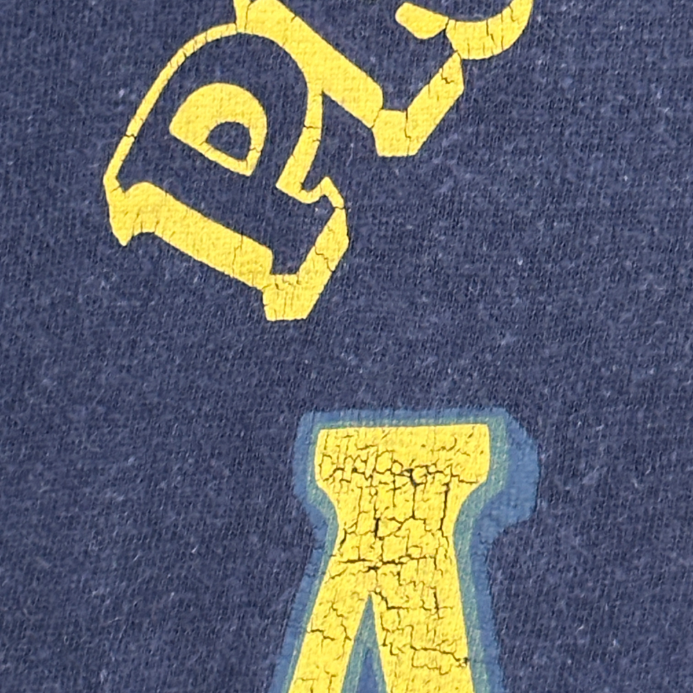 Vintage Lambda Chi Alpha Shirt Blue ΛΧΑ Fraternity Russell Southern 1950s Adult MEDIUM