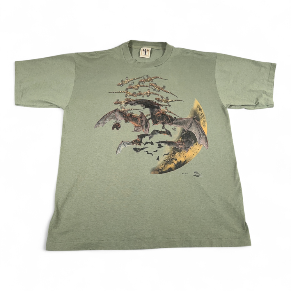Science Museum Vibes: Four Graphic Tees Worth a Closer Look