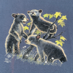 Vintage Bear Cub Shirt Adult EXTRA LARGE Blue Nature Diversity Art USA Made Y2K