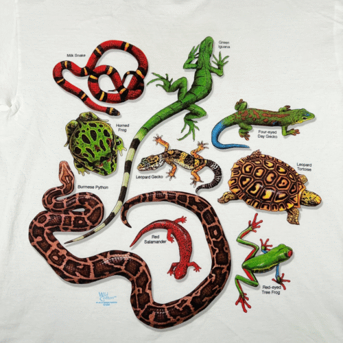 Vintage Reptile Shirt Adult EXTRA LARGE White Amphibian Snake Frog Nature Art