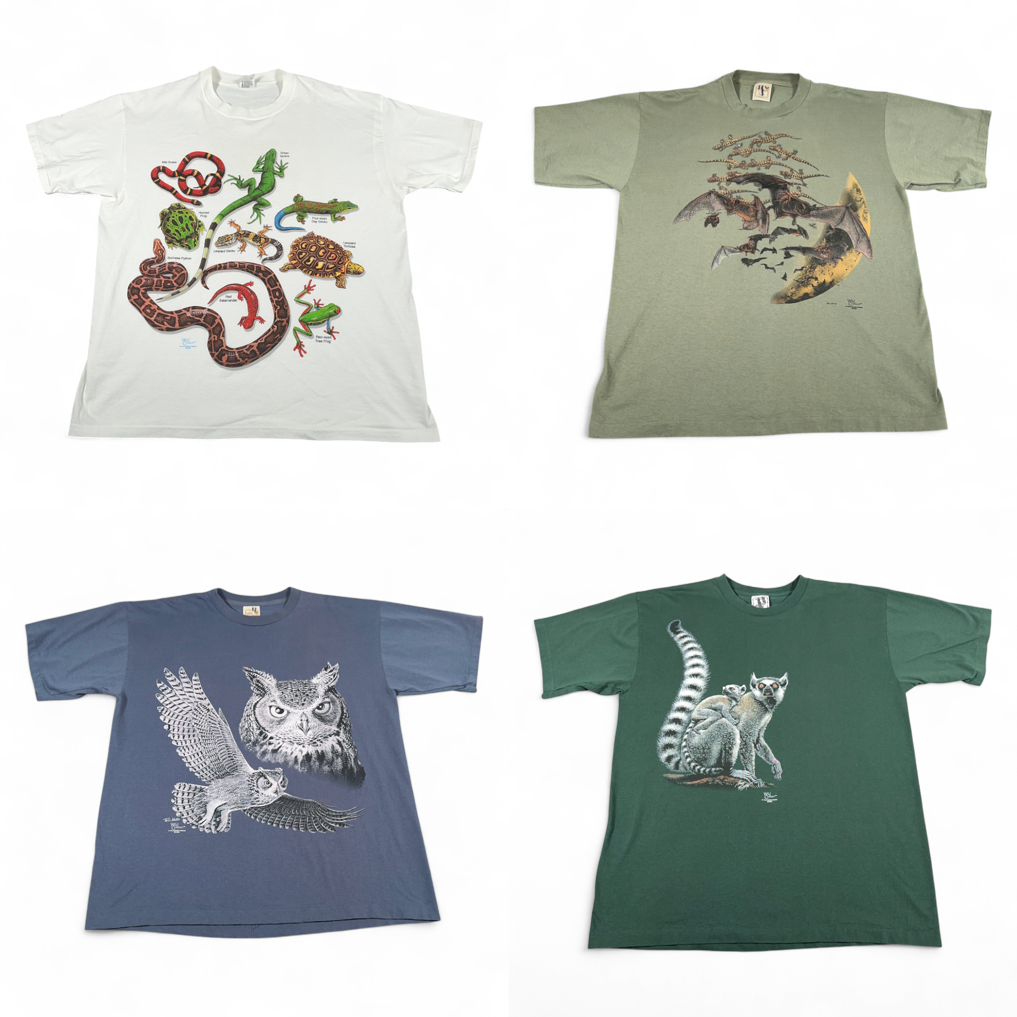 Science Museum Vibes: Four Graphic Tees Worth a Closer Look