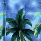Vintage Hawaiian Shirt Adult LARGE Blue Go Hawaii Aloha Parrot Beach Surf 80s