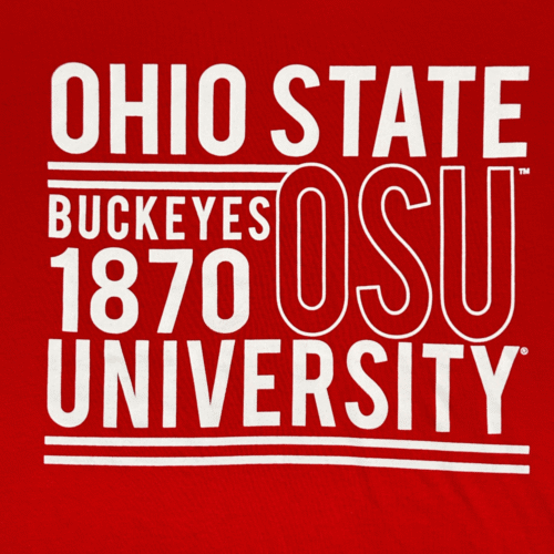 Ohio State Shirt Adult LARGE Red Buckeyes MV Sport NCAA OSU University Tag