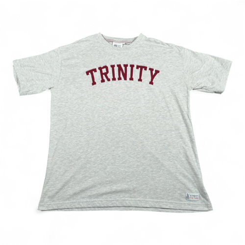 Trinity College Dublin Shirt Adult EXTRA LARGE Gray University Ireland Spell Out