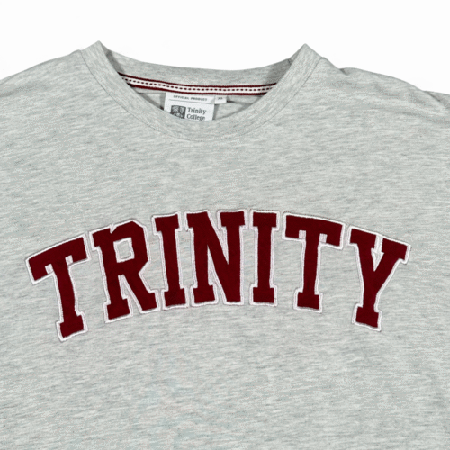 Trinity College Dublin Shirt Adult EXTRA LARGE Gray University Ireland Spell Out