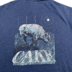 Cake Sweater Adult LARGE Blue Hoodie Band Music Buffalo Independent Trading Zip