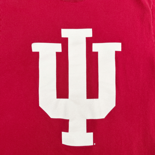 Vintage Indiana Hoosiers Shirt Adult MEDIUM Red University Champion NCAA Y2K