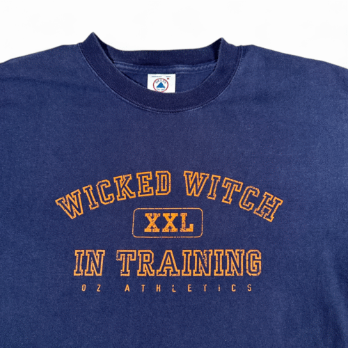 Vintage Wizard of Oz Shirt Adult MEDIUM Blue Wicked Witch Training Athletics 90s