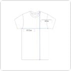 Art Institute Chicago Shirt Adult SMALL Black Museum School Elevated Lines Lion