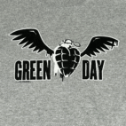Vintage Green Day Shirt Youth EXTRA LARGE Gray American Idiot Band Punk Y2K