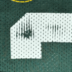 Aaron Rodgers Green Bay Packers Jersey Adult LARGE Green Reebok NFL Players Y2K
