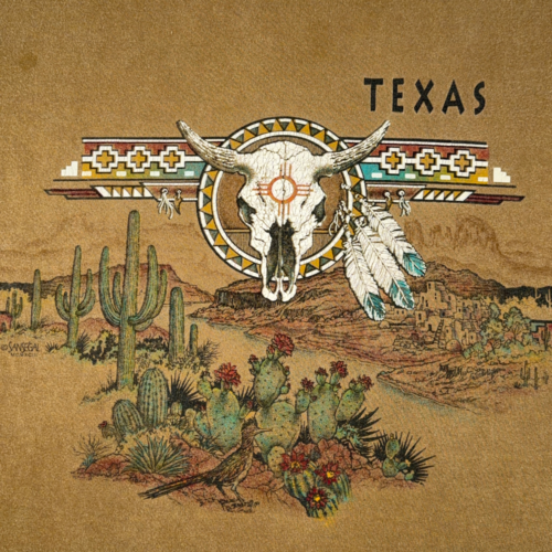 Vintage Texas Shirt Adult MEDIUM Brown Southwest Steer Skull Desert Cactus 90s-2 Vintage Texas Shirt Adult MEDIUM Brown Southwest Steer Skull Desert Cactus 90s