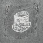 Brushy Mountain State Penitentiary Shirt Adult MEDIUM Gray Tennessee Prison Y2K