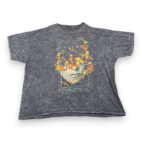 Evanescence Shirt Adult 3XL XXXL Gray Mineral Wash Synthesis Band Music Metal