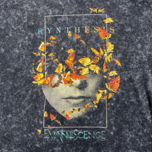 Evanescence Shirt Adult 3XL XXXL Gray Mineral Wash Synthesis Band Music Metal-2 Evanescence Shirt Adult 3XL XXXL Gray Mineral Wash Synthesis Band Music Metal