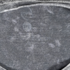 Evanescence Shirt Adult 3XL XXXL Gray Mineral Wash Synthesis Band Music Metal