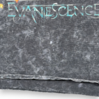 Evanescence Shirt Adult 3XL XXXL Gray Mineral Wash Synthesis Band Music Metal