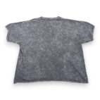 Evanescence Shirt Adult 3XL XXXL Gray Mineral Wash Synthesis Band Music Metal