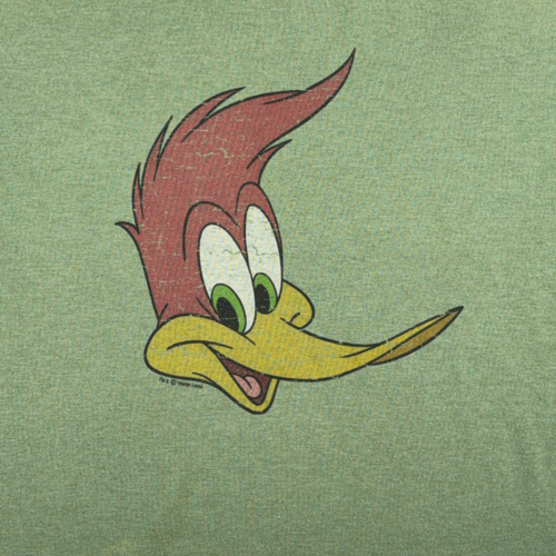 Vintage Woody Woodpecker Shirt Adult LARGE Green Cartoon Portrait Ringer USA Y2K-2 Vintage Woody Woodpecker Shirt Adult LARGE Green Cartoon Portrait Ringer USA Y2K