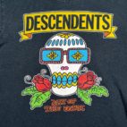 Descendents Shirt Adult SMALL Black Day Of Dork Music Punk Band Milo Skull Y2K