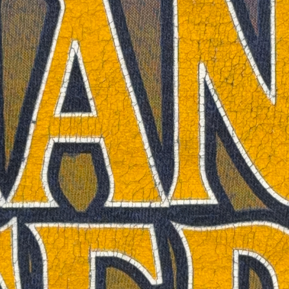 Vintage Indiana Pacers Shirt Adult MEDIUM Blue NBA Basketball Sports USA 90s-4 Vintage Indiana Pacers Shirt Adult MEDIUM Blue NBA Basketball Sports USA 90s