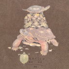 Vintage Turtles Shirt Adult LARGE Brown Nature Wildlife Reptile Art Y2K