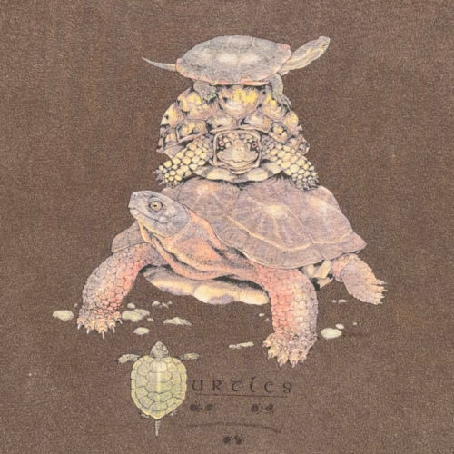 Vintage Turtles Shirt Adult LARGE Brown Nature Wildlife Reptile Art Y2K-2 Vintage Turtles Shirt Adult LARGE Brown Nature Wildlife Reptile Art Y2K
