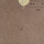 Vintage Turtles Shirt Adult LARGE Brown Nature Wildlife Reptile Art Y2K