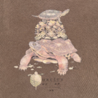 Vintage Turtles Shirt Adult LARGE Brown Nature Wildlife Reptile Art Y2K