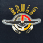 Vintage Brule Shirt Adult EXTRA LARGE Black Eagle Native American Music Band Y2K